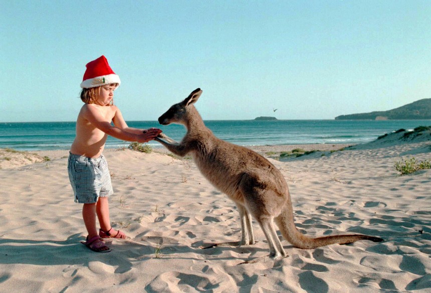 Weihnachtsurlaub Australien mit Travelwheels Campervans