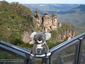 visit the blue mountains by campervan and see this koala!