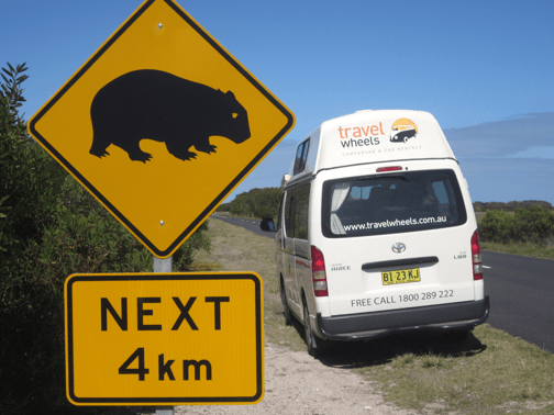 Campervananmietung Cairns - Travelwheels Australien