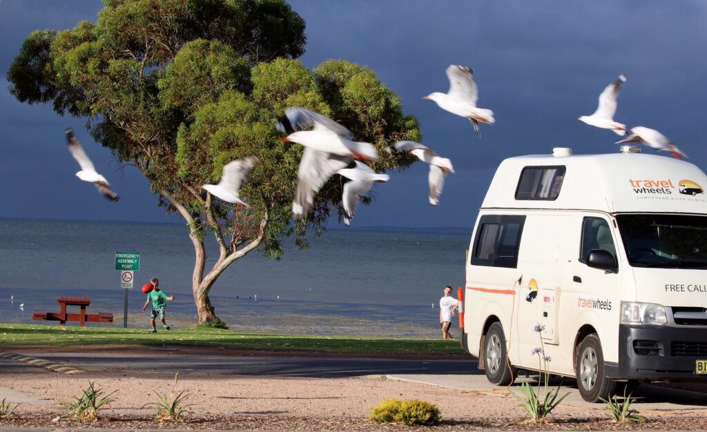 road-trip Sydney Cairns avec Travelwheels