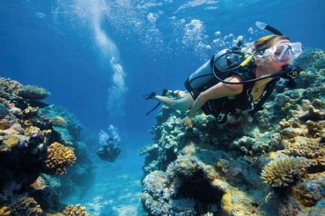 The Great Barrier Reef is just an hours drive by boat away!
