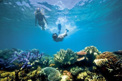 Diving at the Great Barrier Reef