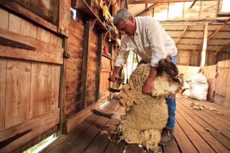 Warrook Farm - Learn how to work on a farm in Australia
