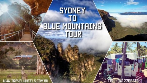 Sydney to Blue Mountains Tour