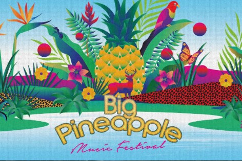 The best festivals in Australia: Big Pineapple Music Festival
