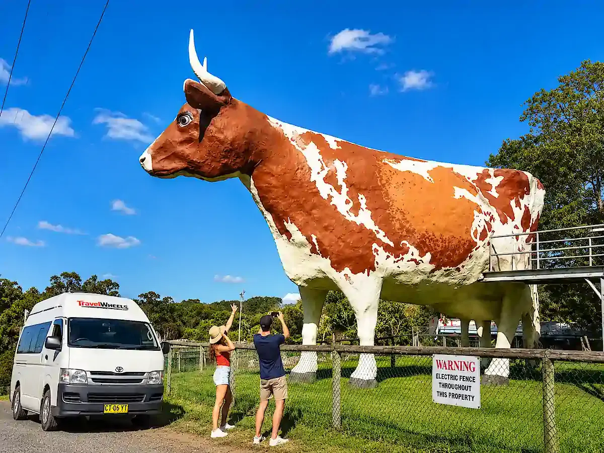 Customer photo of Big Cow from the Big Things of Australia iconic crap things to do challenge