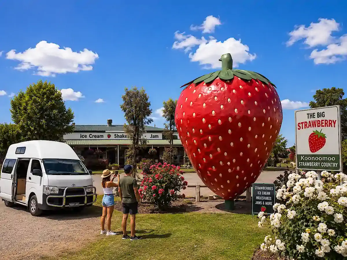 Big things of Australia - NSW - The Big Strawberry from a customer photo