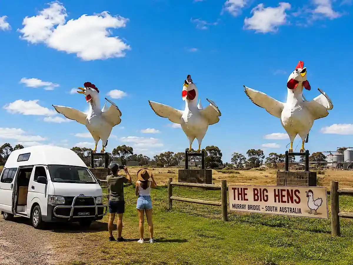 Big Things of Australia Series - the three big hens in NSW
