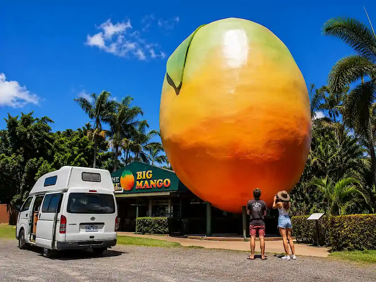 Customer photo of Big Mango from Big Things of Australia series
