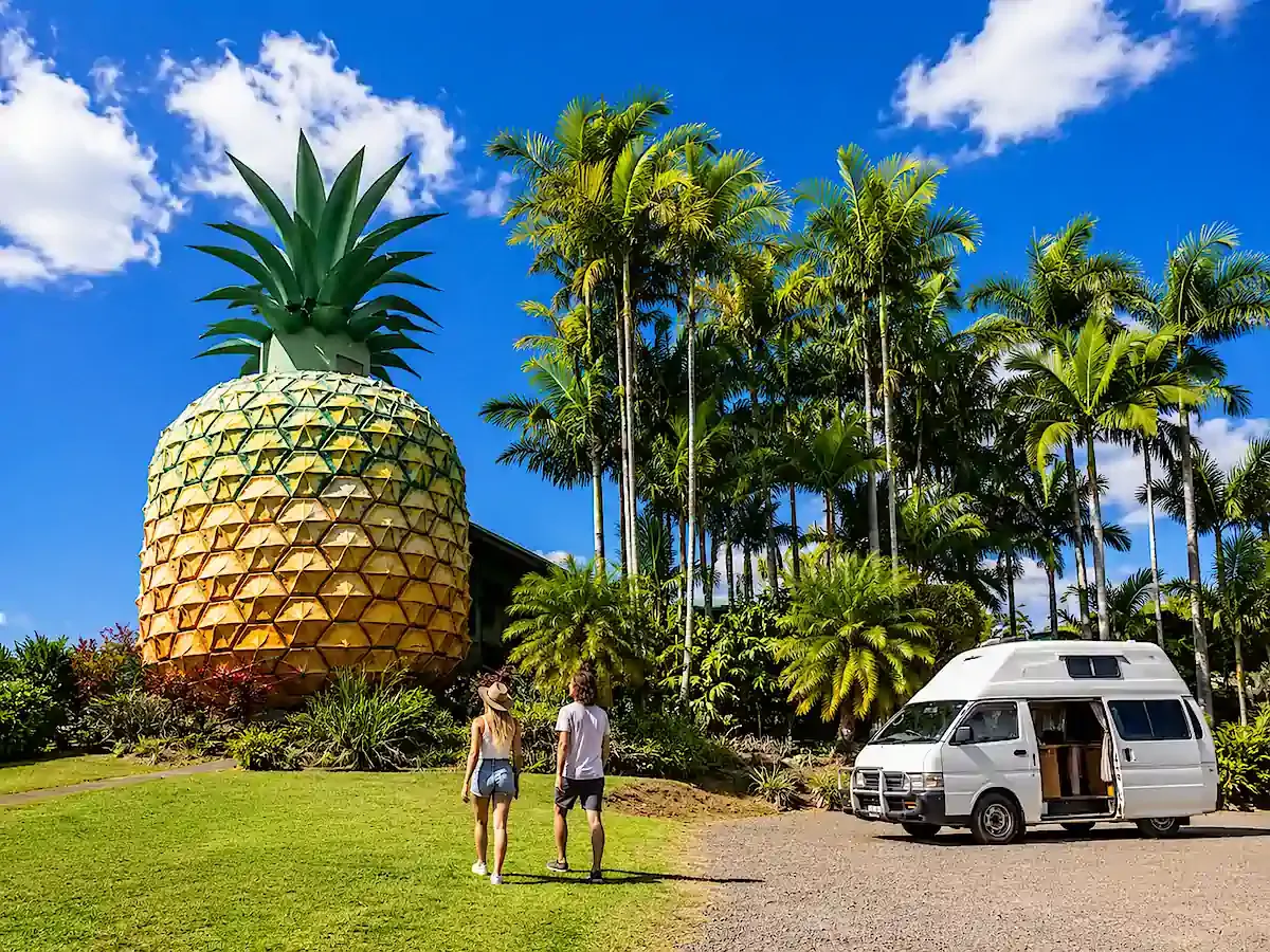 Customer photo of the big pineapple in Queensland from the big things in Austraila series